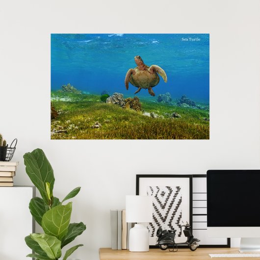 Poster Sea Turtle (Heimbüro)