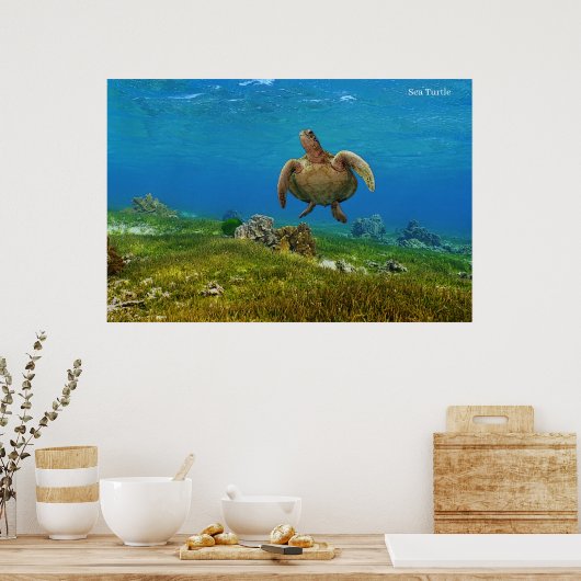 Poster Sea Turtle (Küche)