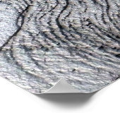 Poster - Selbstporträt Leonardo Da Vinci (Ecke)