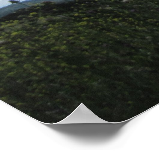 Poster: Senf in den Wolken Poster (Ecke)