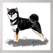 Poster Shiba inu (Vorne)