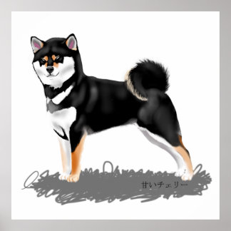 Poster Shiba inu