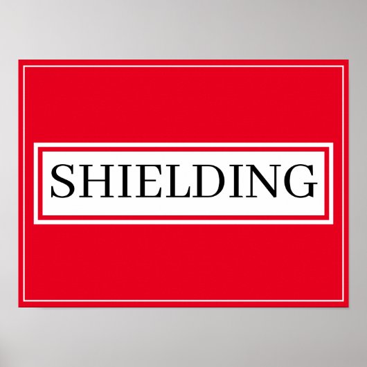 Poster - SHIELDING (Vorne)