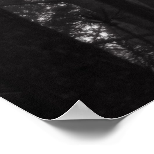 Poster - Silver Silence (Ecke)