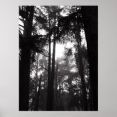 Poster - Silver Silence (Vorne)