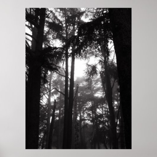 Poster - Silver Silence (Vorne)