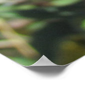 Poster - Single Lila Verdünnte Blume (Ecke)