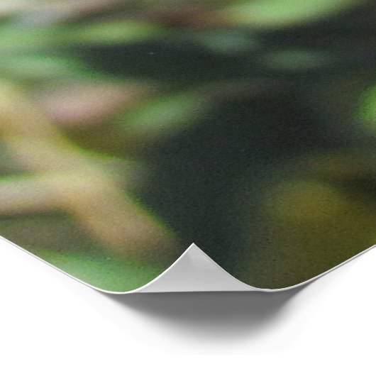 Poster - Single Lila Verdünnte Blume (Ecke)