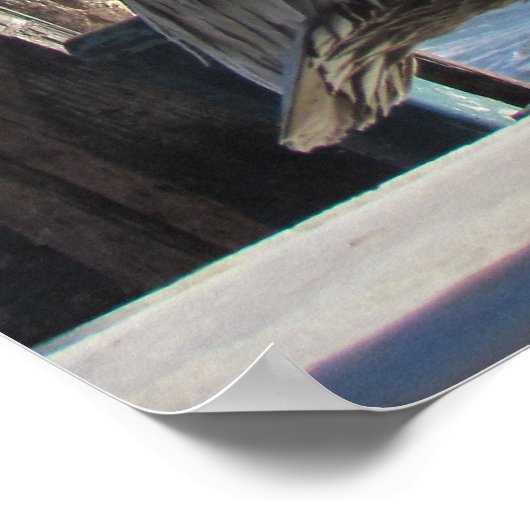 Poster - Single Pelican am Pier (Ecke)