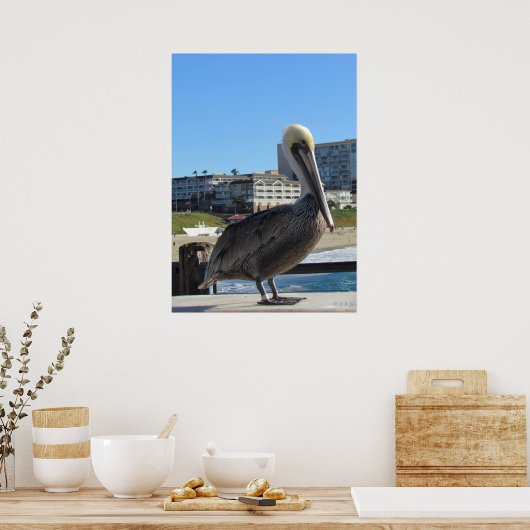 Poster - Single Pelican am Pier (Küche)