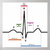 Poster Sinus Rhythm EKG-Diagramm (Vorne)