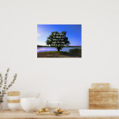 Poster - Sitzen im Schatten eines Baumes mit Zitat (Küche)