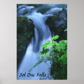 Poster: Sol Duc Falls Poster (Vorne)