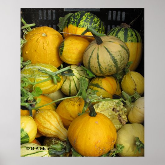 Poster - Sommerquasch (Vorne)