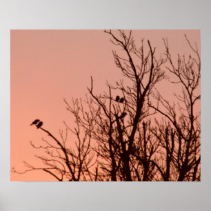 Poster - Sonnenaufgang