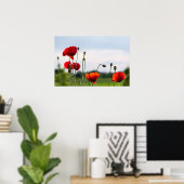 Poster - Sonnenbeschienene Wilde Mohnblumen (Heimbüro)