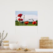Poster - Sonnenbeschienene Wilde Mohnblumen (Küche)