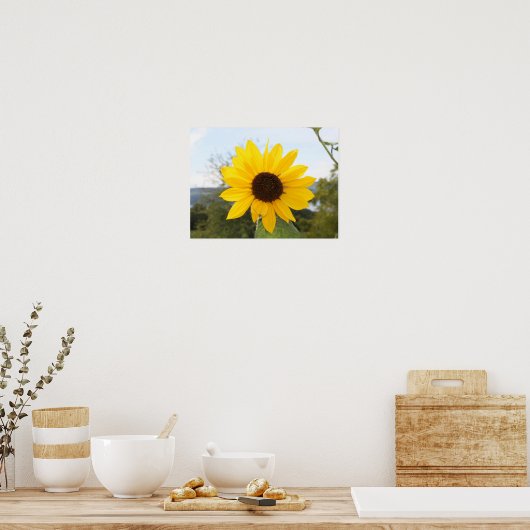 Poster - Sonnenblume (Küche)