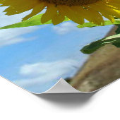 Poster - Sonnenblume (Ecke)