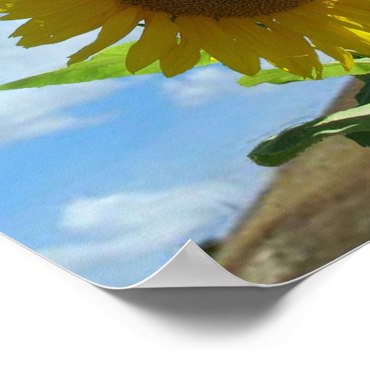 Poster - Sonnenblume (Ecke)