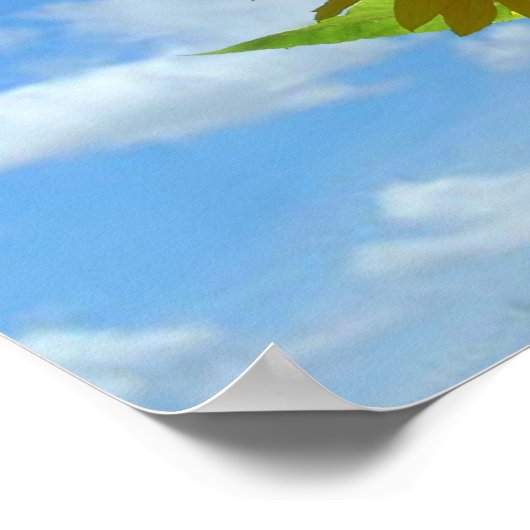 Poster - Sonnenblume auf dem Hügel (Horizont) (Ecke)