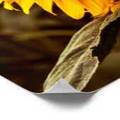 Poster Sonnenblume Eleganz (Ecke)