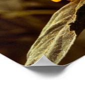Poster Sonnenblume Eleganz (Ecke)