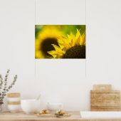 Poster Sonnenblume Eleganz (Küche)