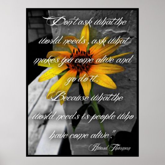Poster, Sonnenblume Howard Thurman Zitat Poster (Vorne)