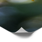 Poster Sonnenblume mit Regentropfen Foto (Ecke)