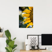 Poster Sonnenblume mit Regentropfen Foto (Heimbüro)