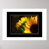Poster Sonnenblumen (Vorne)