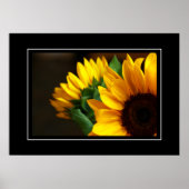 Poster Sonnenblumen (Vorne)