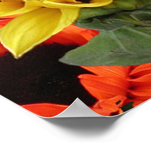 Poster, SONNENBLUMEN # 1 Poster (Ecke)