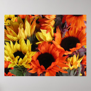 Poster, SONNENBLUMEN # 1 Poster