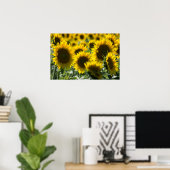 Poster Sonnenblumenfeld Fotografie (Heimbüro)
