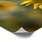 Poster - Sonnenblumenfeld Rätsel (Ecke)