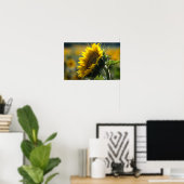 Poster - Sonnenblumenfeld Rätsel (Heimbüro)