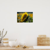 Poster - Sonnenblumenfeld Rätsel (Küche)