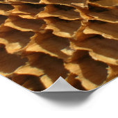 Poster - Sonnenblumenkerne (Ecke)