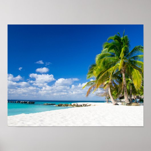 Poster - Sous le soleil des tropiques (Vorne)