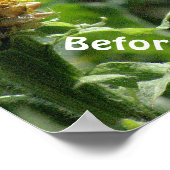 Poster, Spaß, "Haare erledigen zu können, macht mi Poster (Ecke)