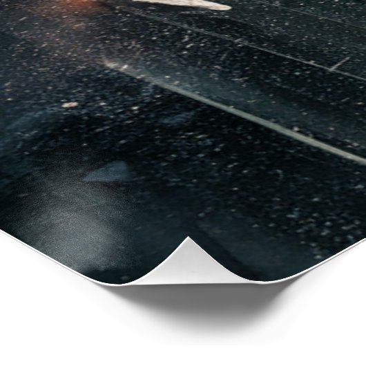 Poster Spider Terror (Ecke)