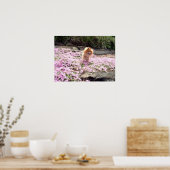 Poster | Spitz Rosa Blume 2 (Küche)