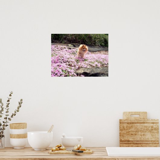 Poster | Spitz Rosa Blume 2 (Küche)