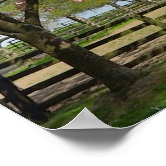 Poster Spring (Ecke)