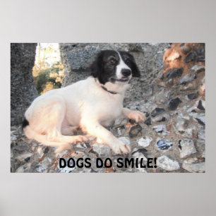 Poster Sprollie Besuchen Sie das Schloss Lächeln