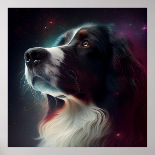 Poster Star Dog (Vorne)
