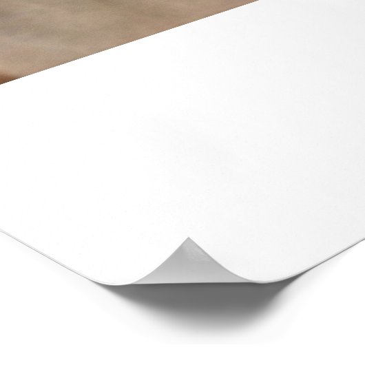 Poster. Steinbutt Poster (Ecke)