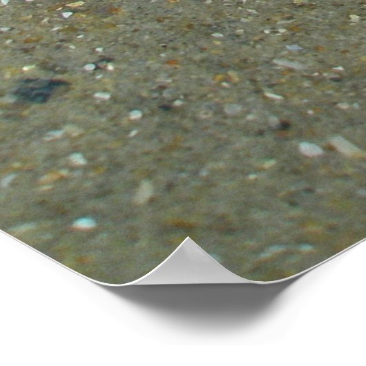 Poster Stranded Jellyfish (Ecke)